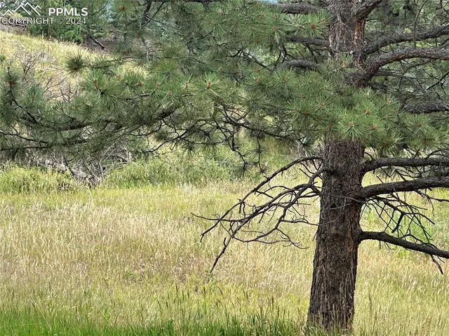 a view of a lake view