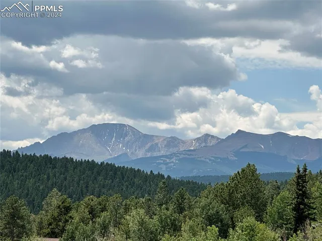 a view of a lake in middle of forest