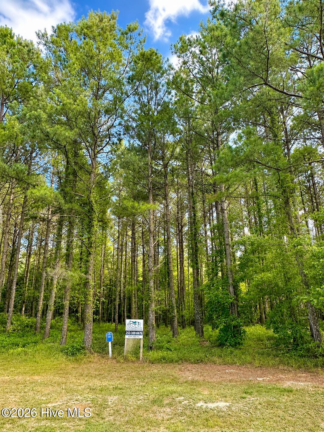 117 Colleton Circle Edenton, NC 27932 - Photo 2 of 7