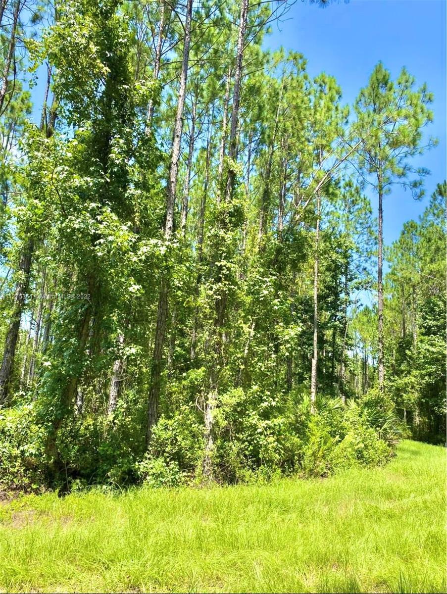 0 Plummer Road Jacksonville, FL 32219 - Photo 4 of 5 Gallery Image 4