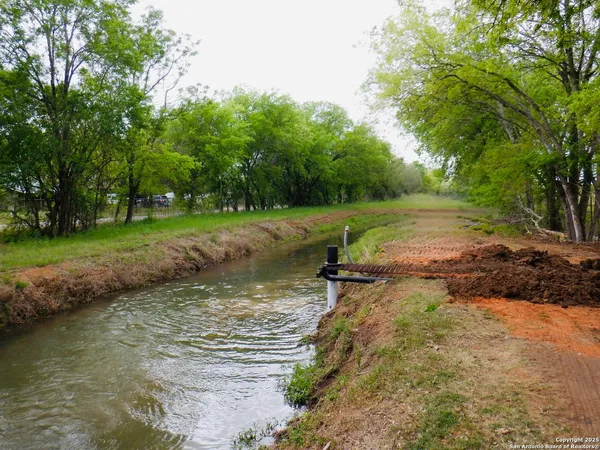 a view of a park with large trees