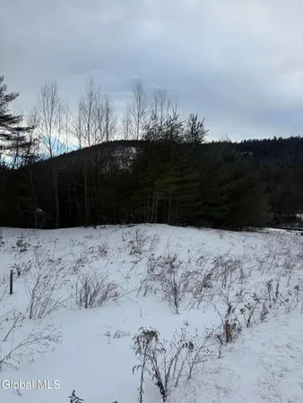 $89,000 | 8 Brant Lake Heights Drive, Horicon, NY 12815