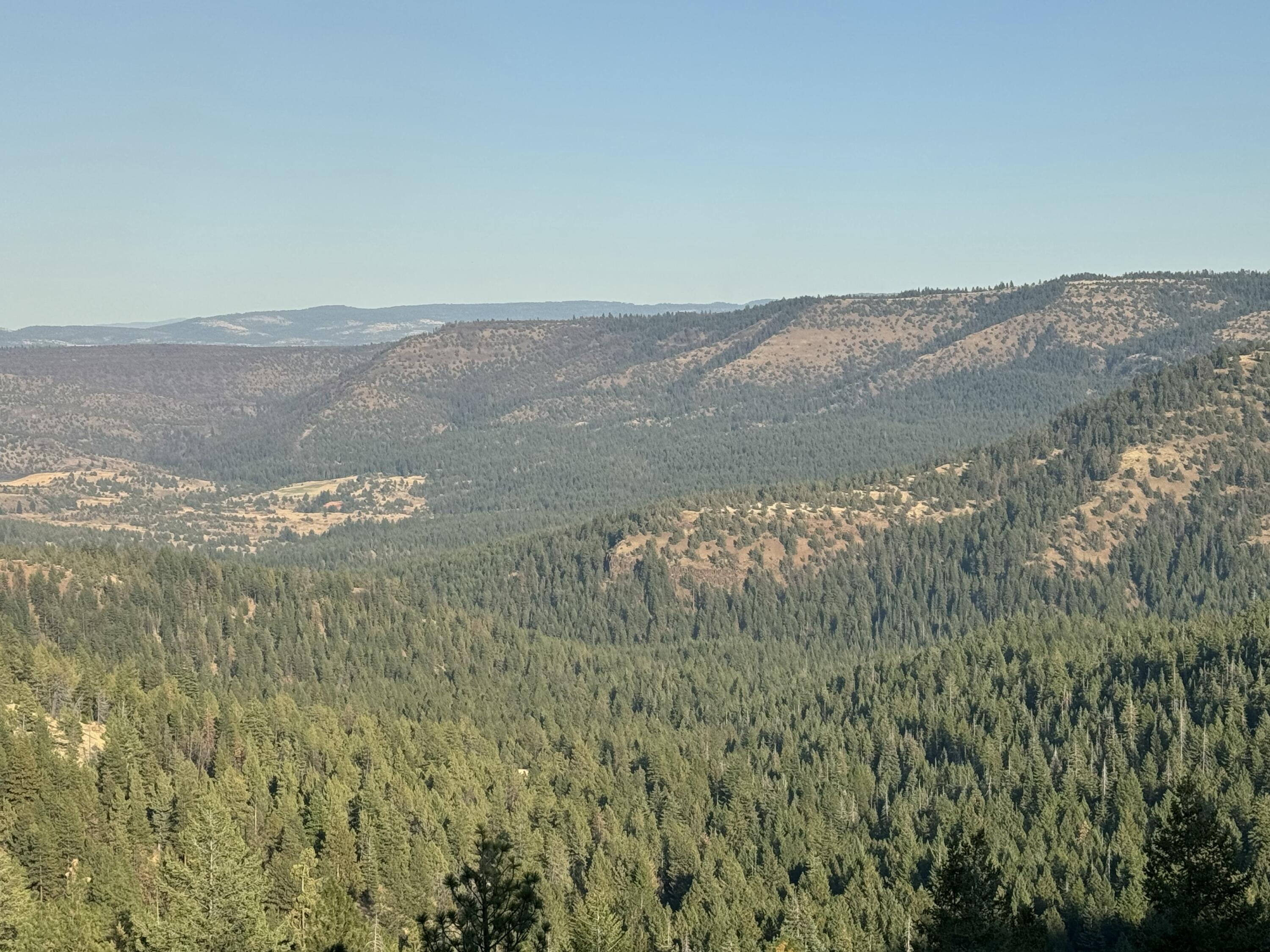Franks Creek Road Monument, OR 97864 - Photo 19 of 29 IMG_5774