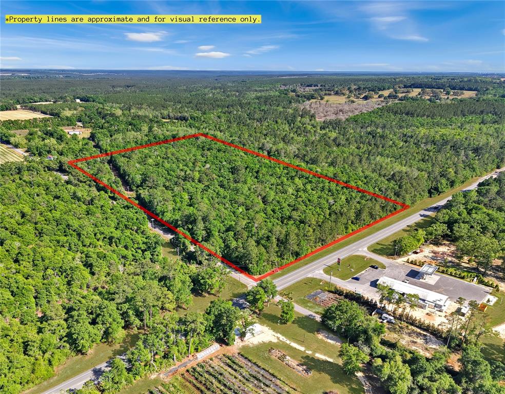 87 North Neal Kennington Road Milton, FL 32570 - Photo 1 of 10 a view of a yard with a lush green forest