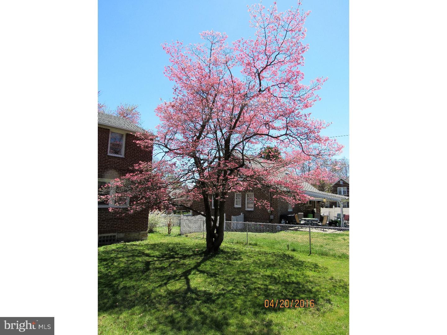 7330 Ryers Avenue Philadelphia, PA 19111 - Photo 23 of 23 Back Yard