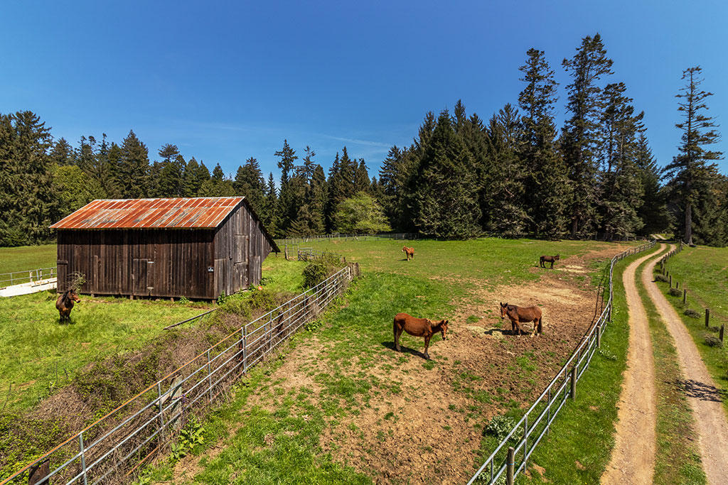 1255 Alder Grove Road Arcata, CA 95521 - Photo 3 of 72