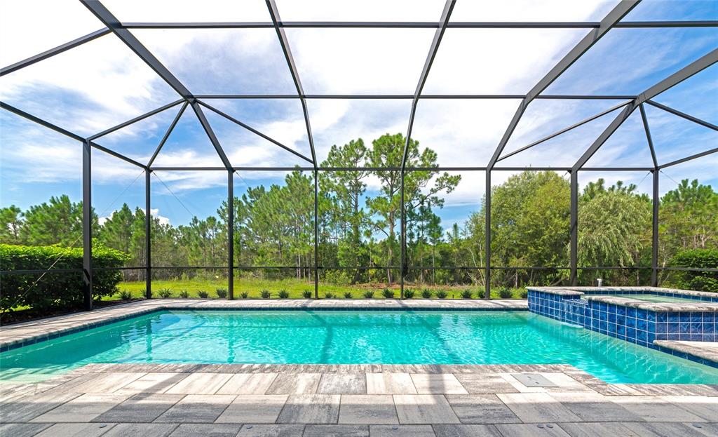 16620 Collingtree Crossing Lakewood Ranch, FL 34202 - Photo 2 of 48 a view of yard with a small swimming pool