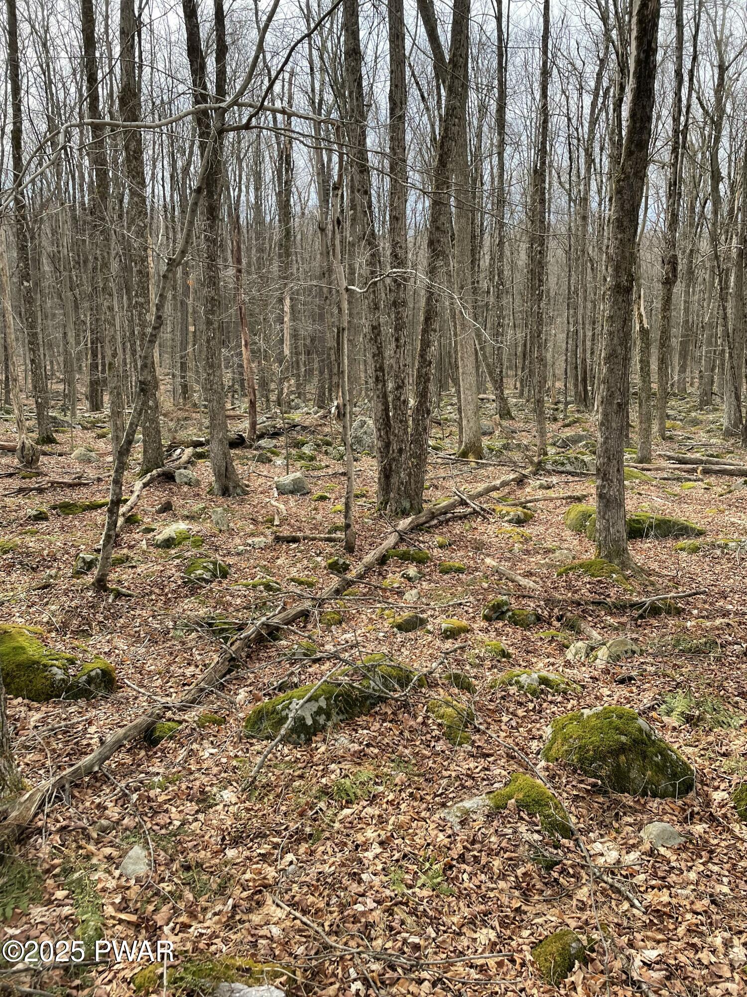 Lot 270 Radcliff Lane Bushkill, PA 18324 - Photo 3 of 10
