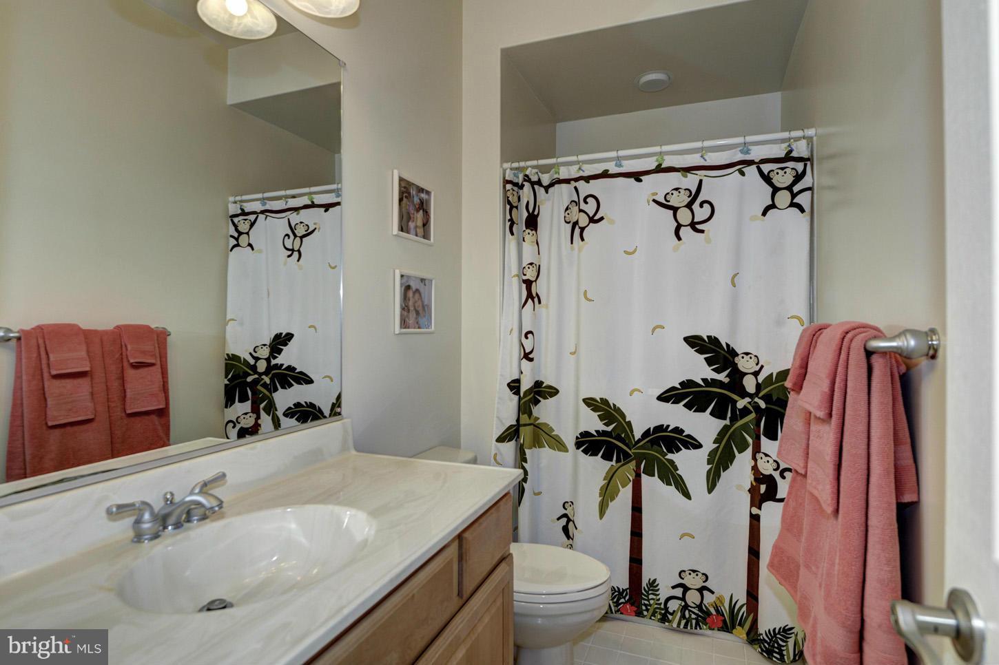 9360 Slate Quarry Road Dickerson, MD 20842 - Photo 13 of 27 a bathroom with a sink toilet and shower