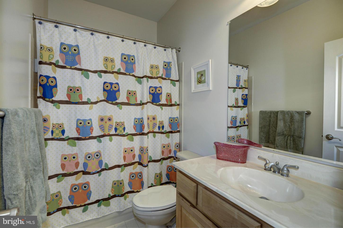 9360 Slate Quarry Road Dickerson, MD 20842 - Photo 16 of 27 a bathroom with a sink a toilet and a mirror