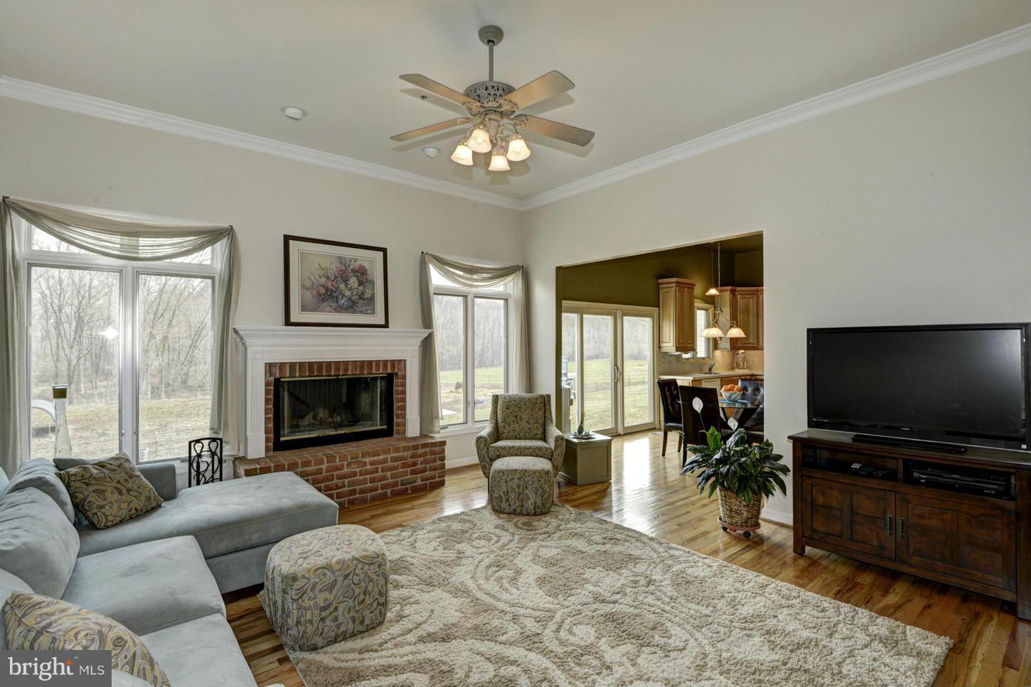 9360 Slate Quarry Road Dickerson, MD 20842 - Photo 7 of 27 a living room with furniture a fireplace and a flat screen tv