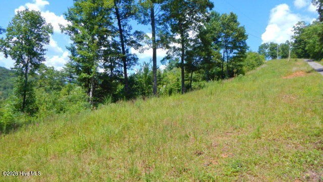Lot 16 Tyler Ridge Murphy, NC 28906 - Photo 3 of 6