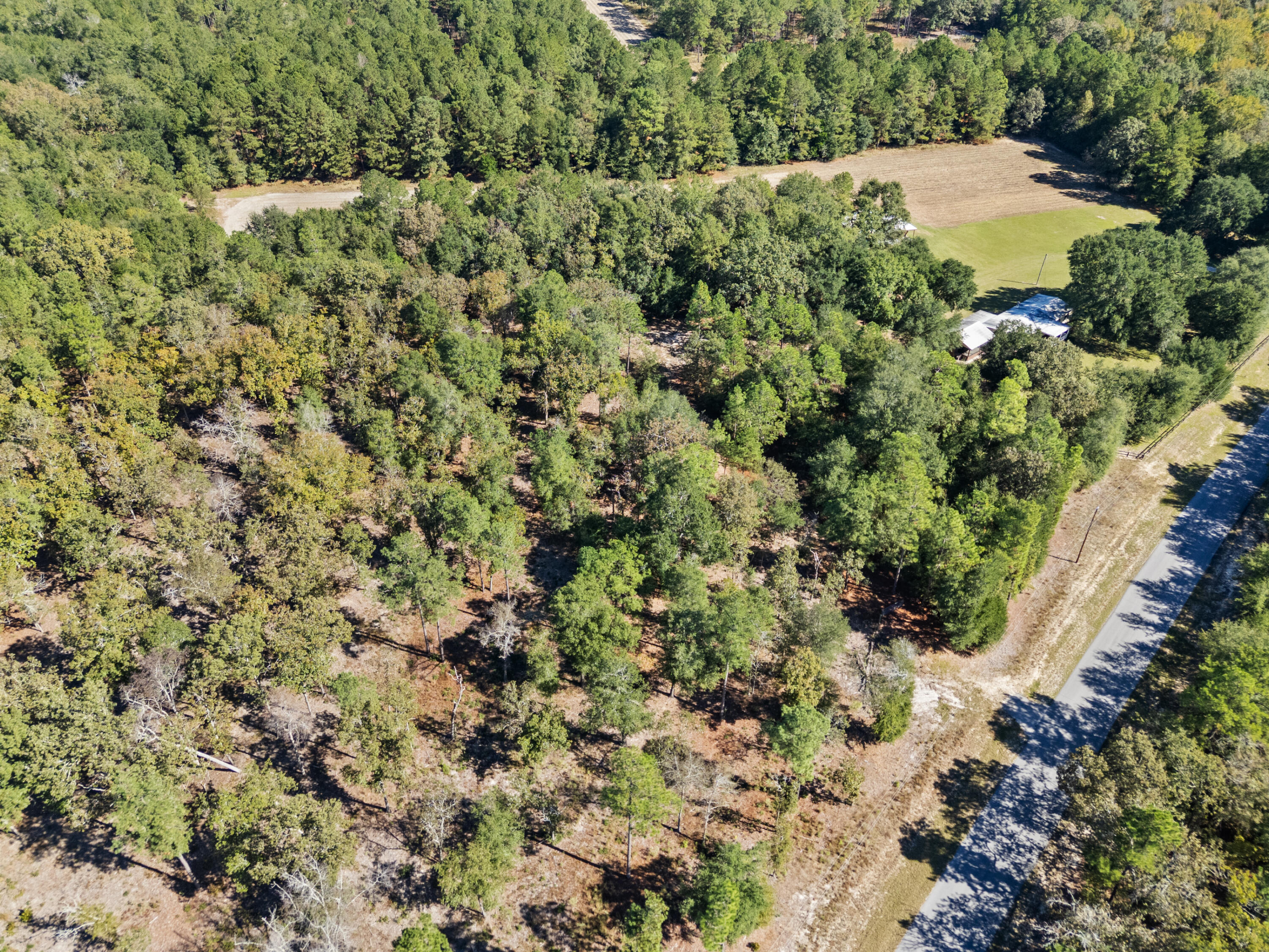 7901 State Rd S-6-169 Blackville, SC 29817 - Photo 73 of 89