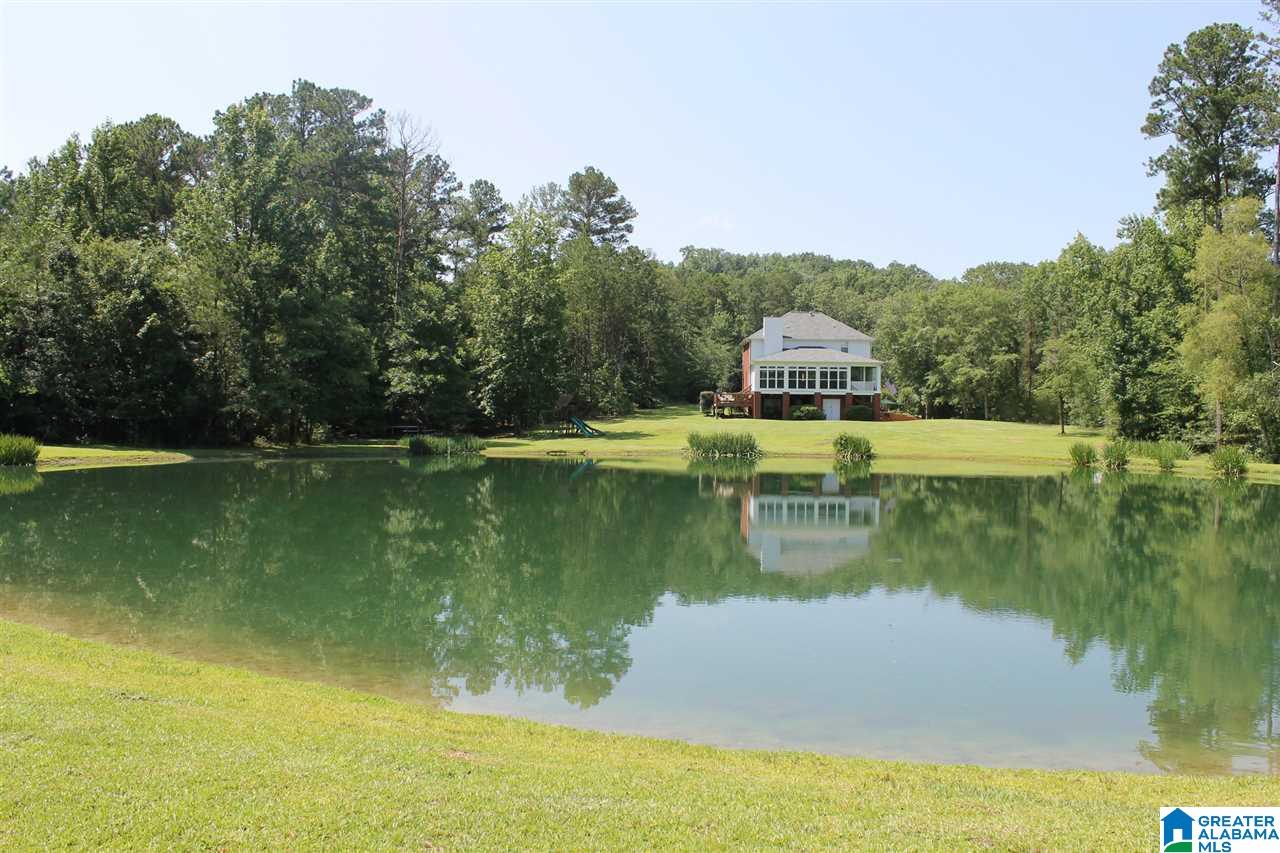 545 Lovejoy Road Ashville, AL 35953 - Photo 2 of 44