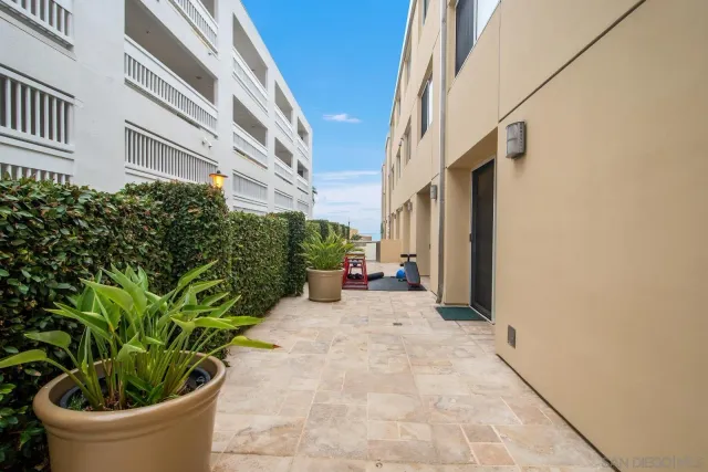 a view of a potted plants in front of a door