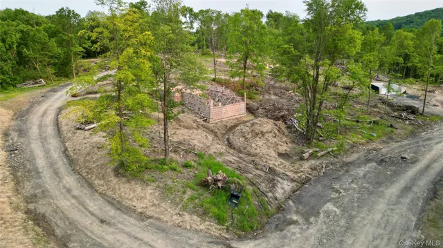 a view of a garden with trees
