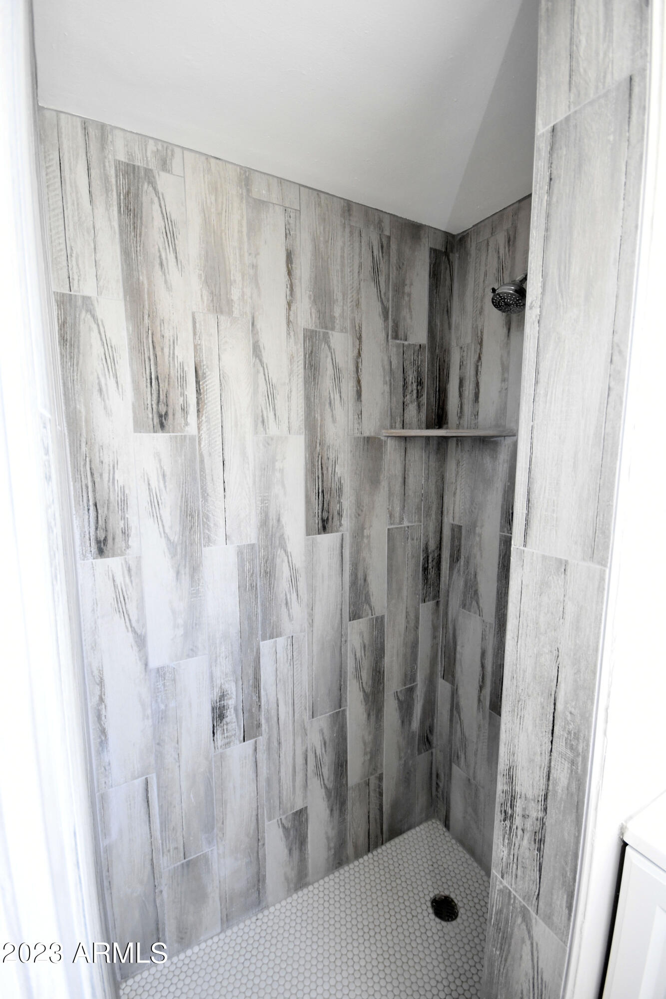 4443 East Almeria Road Phoenix, AZ 85008 - Photo 16 of 23 Master Shower