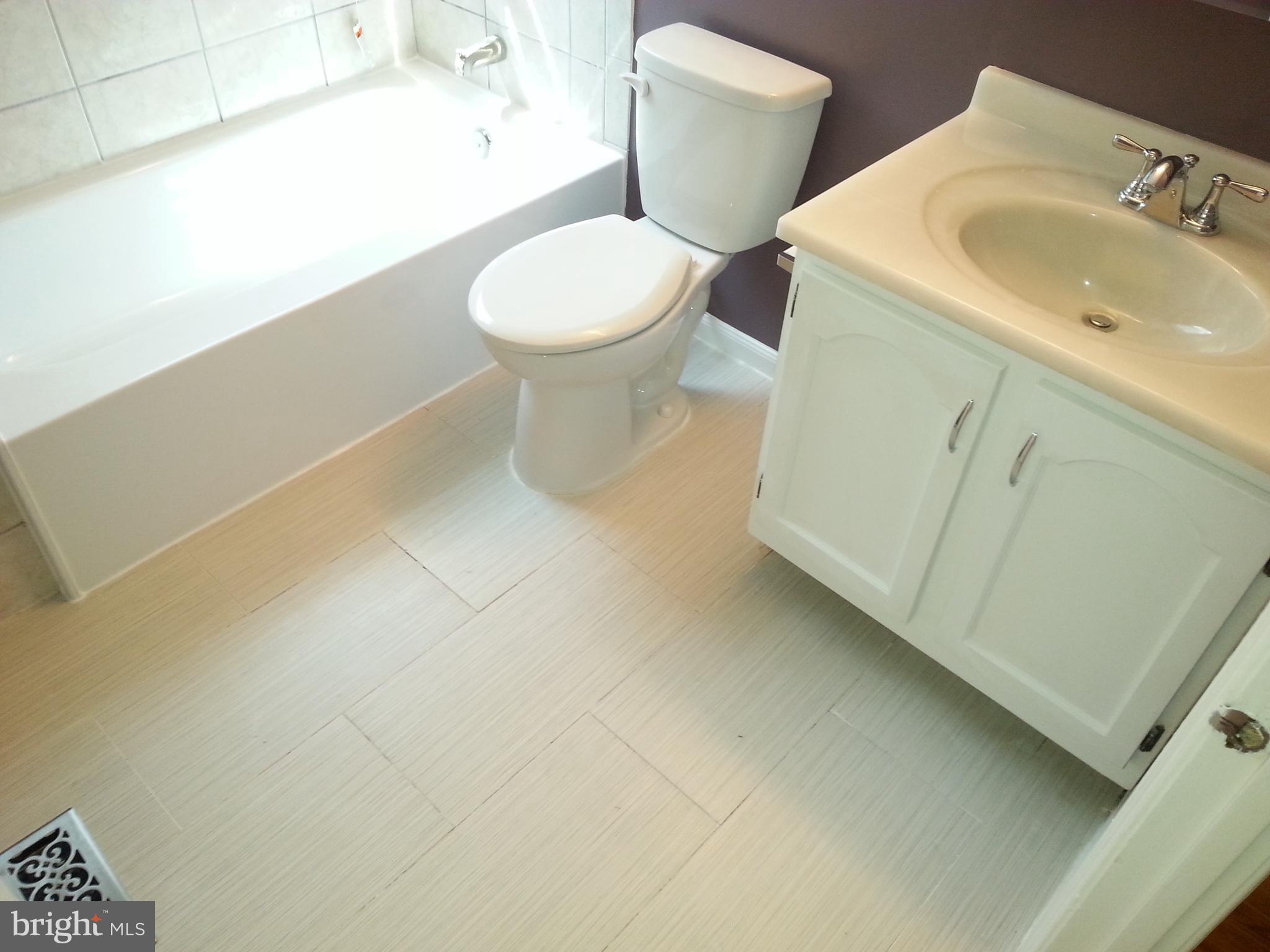 14116 Beechvue Lane Silver Spring, MD 20906 - Photo 24 of 42 Hall Bathroom