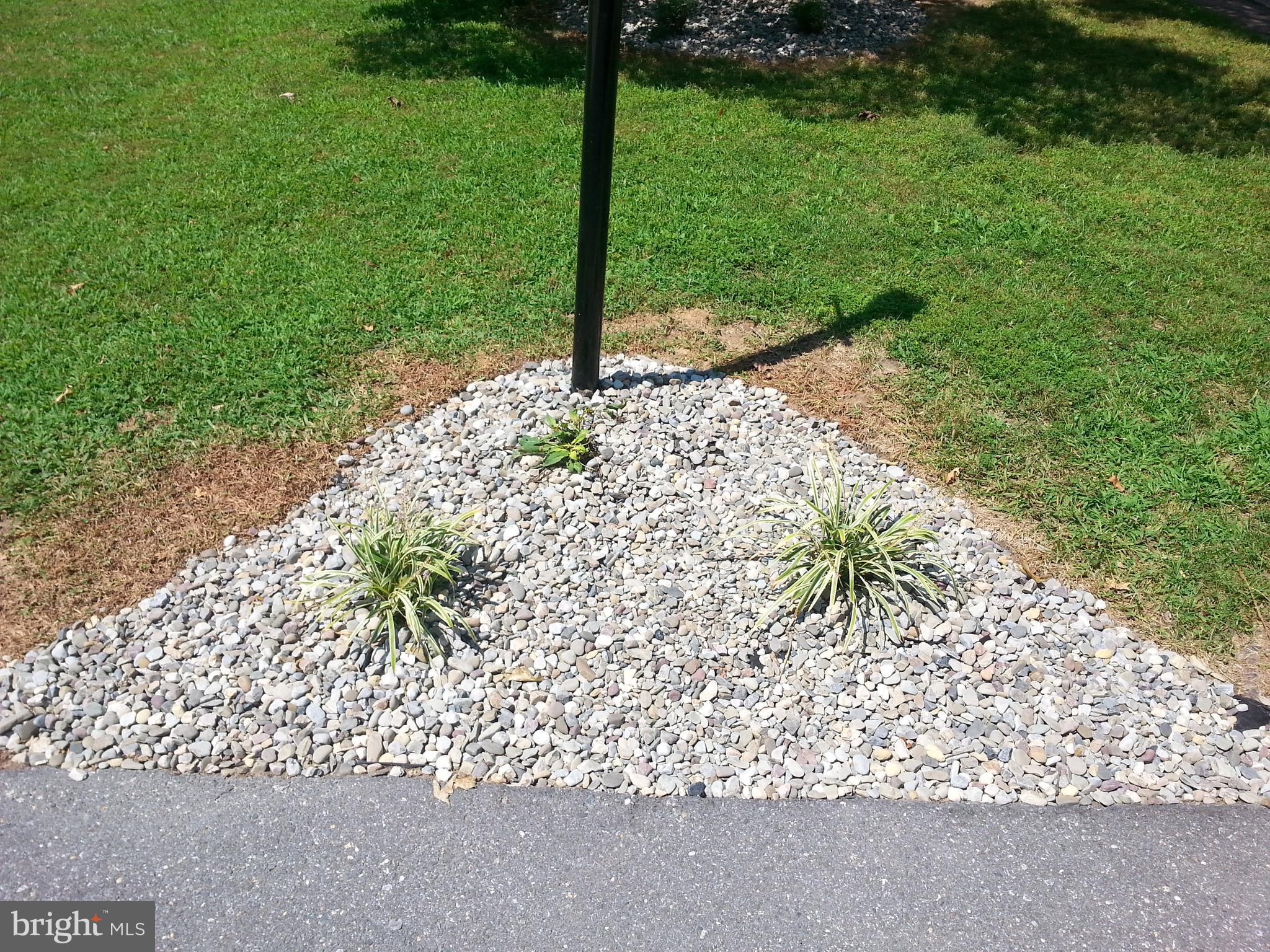 14116 Beechvue Lane Silver Spring, MD 20906 - Photo 3 of 42 Exterior Front