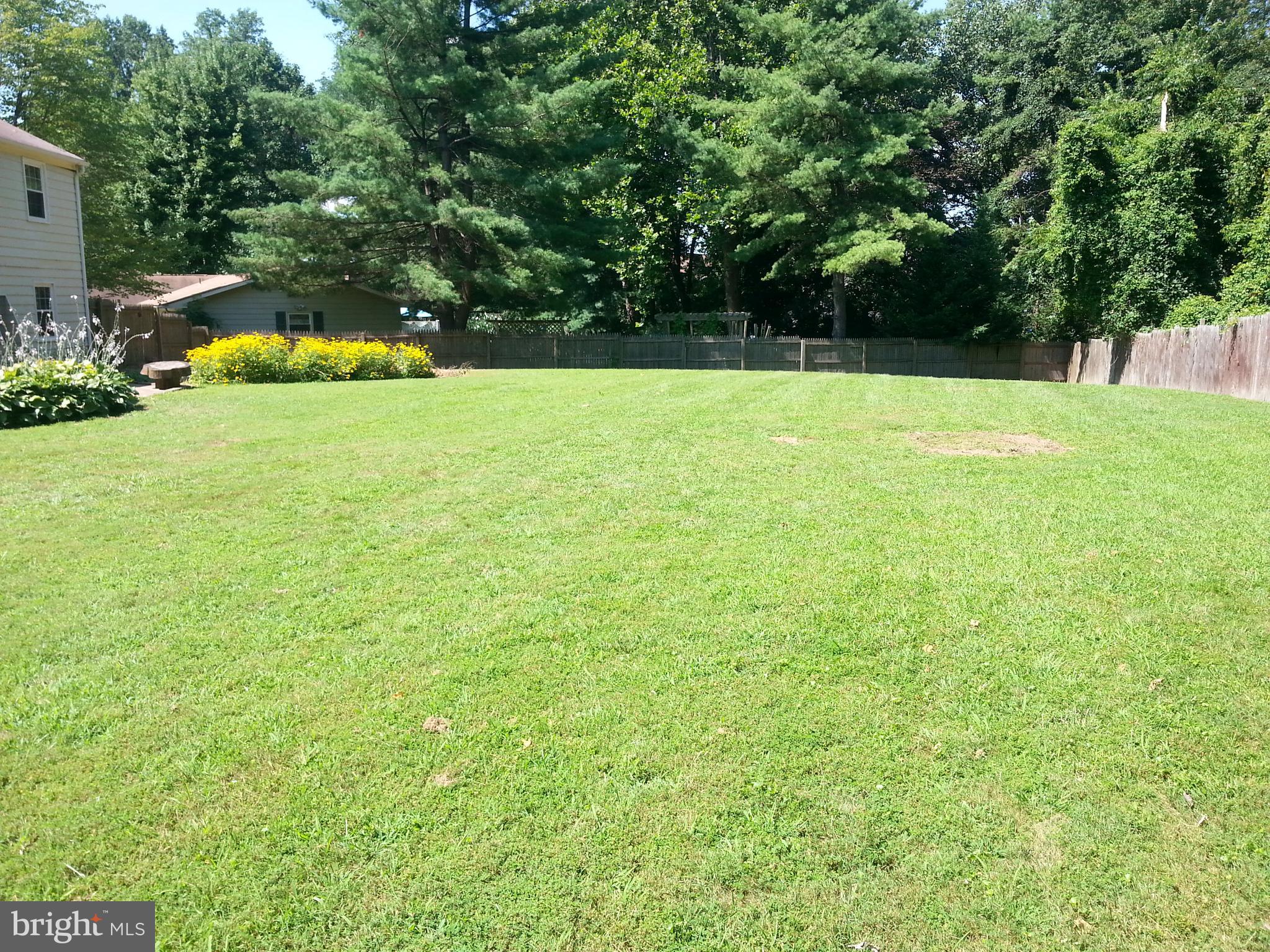 14116 Beechvue Lane Silver Spring, MD 20906 - Photo 41 of 42 Exterior Rear