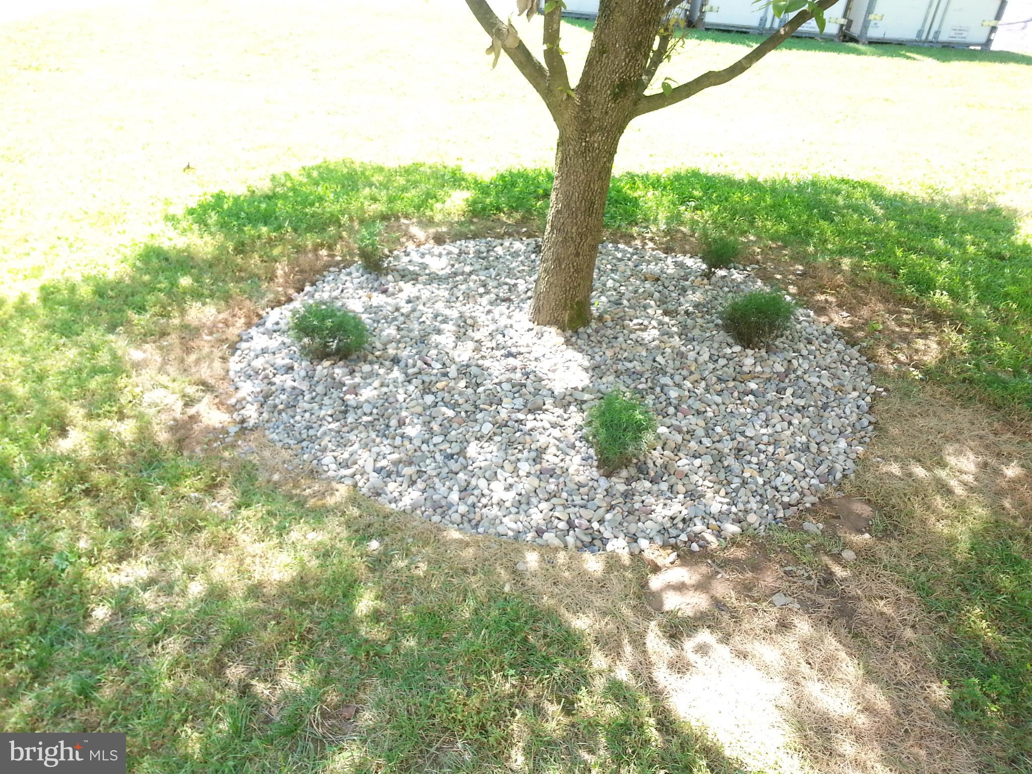 14116 Beechvue Lane Silver Spring, MD 20906 - Photo 5 of 42 Exterior Front