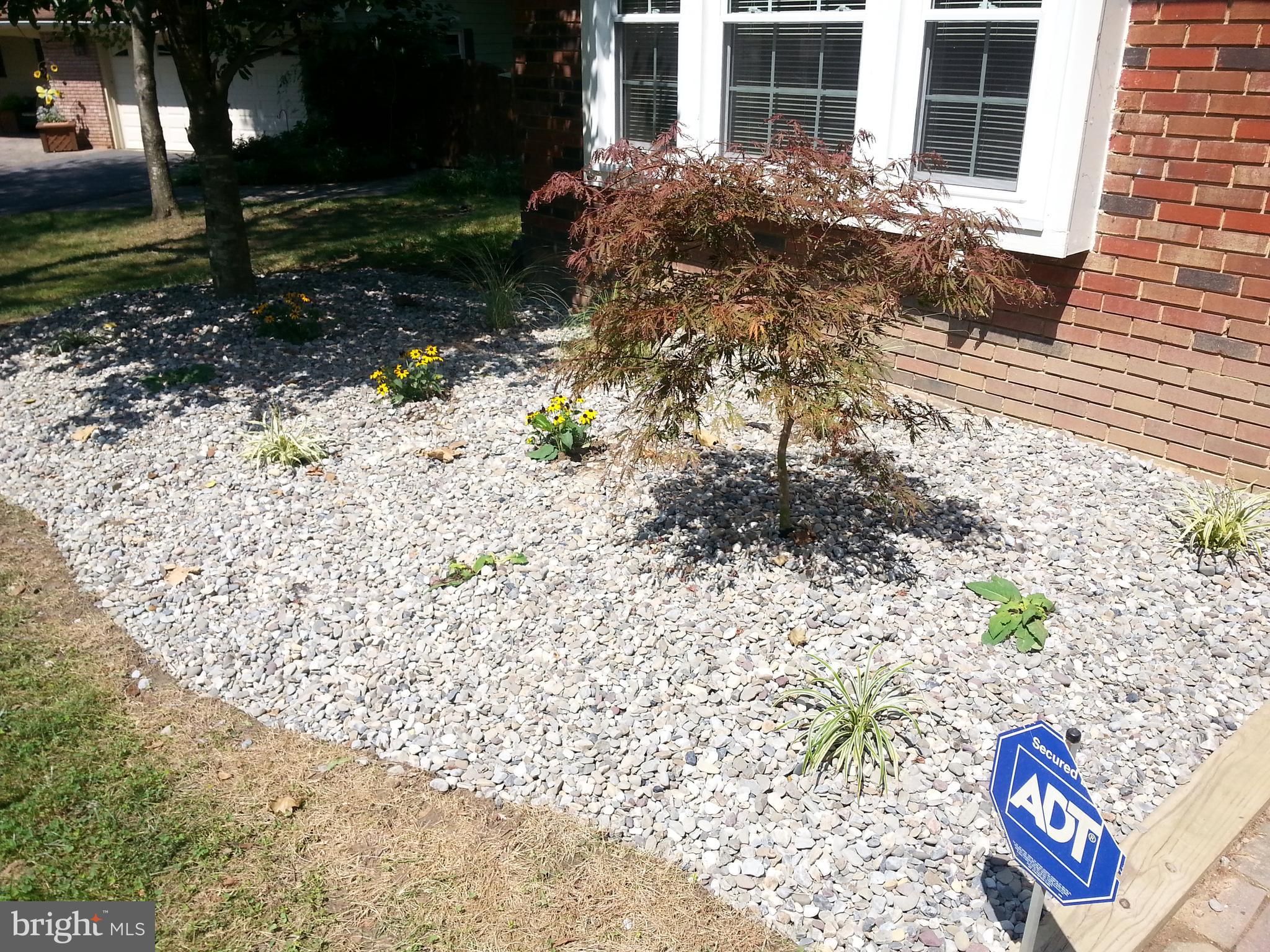 14116 Beechvue Lane Silver Spring, MD 20906 - Photo 6 of 42 Exterior Front