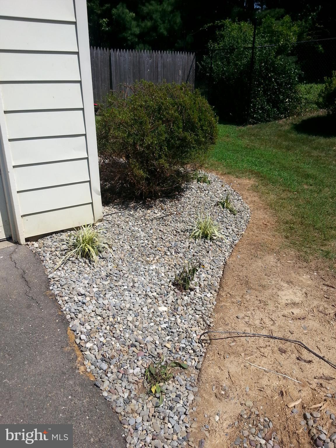 14116 Beechvue Lane Silver Spring, MD 20906 - Photo 7 of 42 Exterior Front