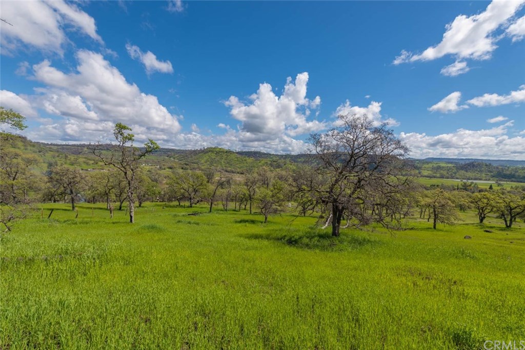 0 Minner Mountain Road Jackson, CA 95642 - Photo 1 of 1 Gallery Image 1