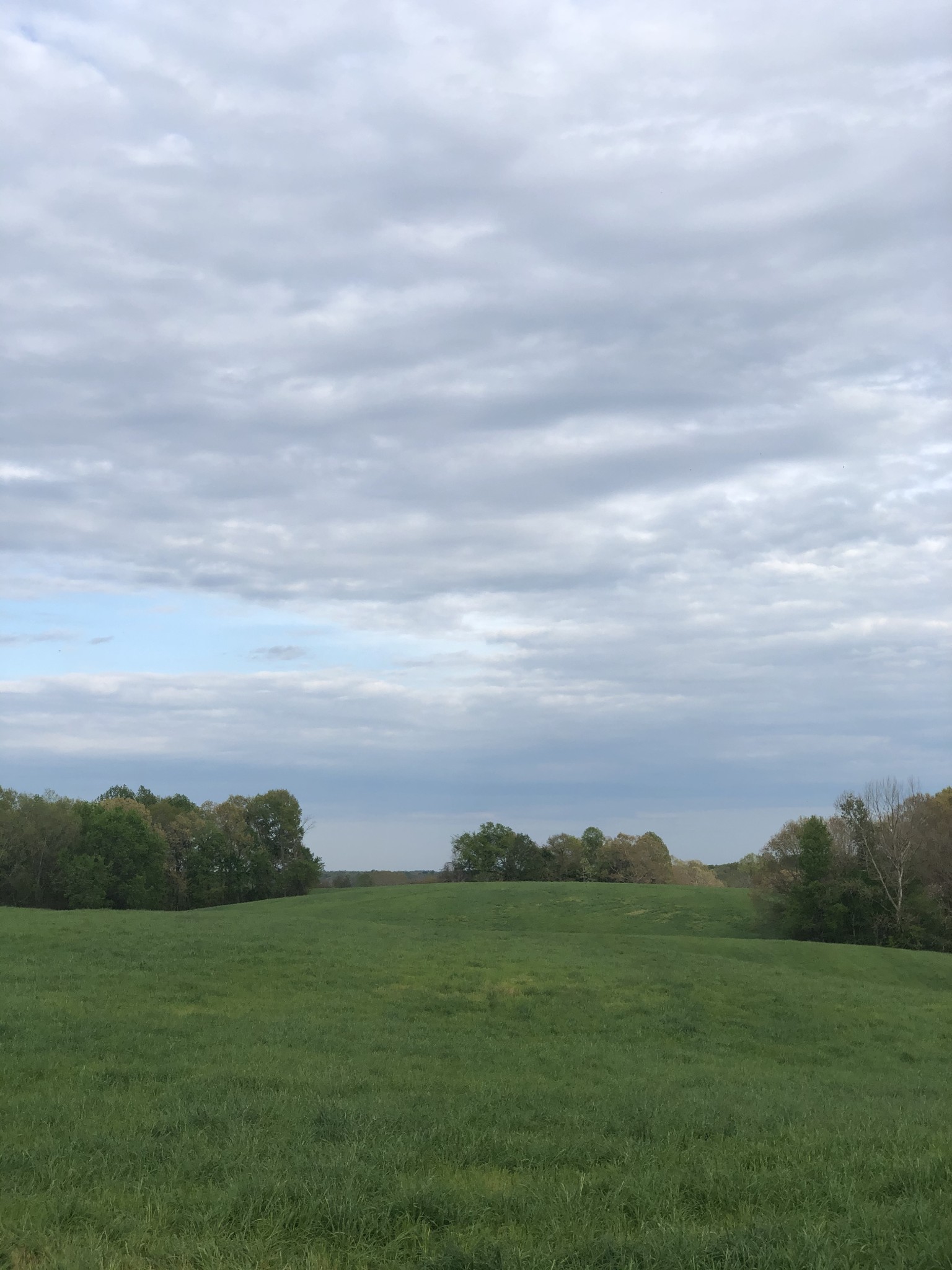 84 Lewis Atkins Road Woodlawn, TN 37191 - Photo 1 of 31 Gallery Image 1