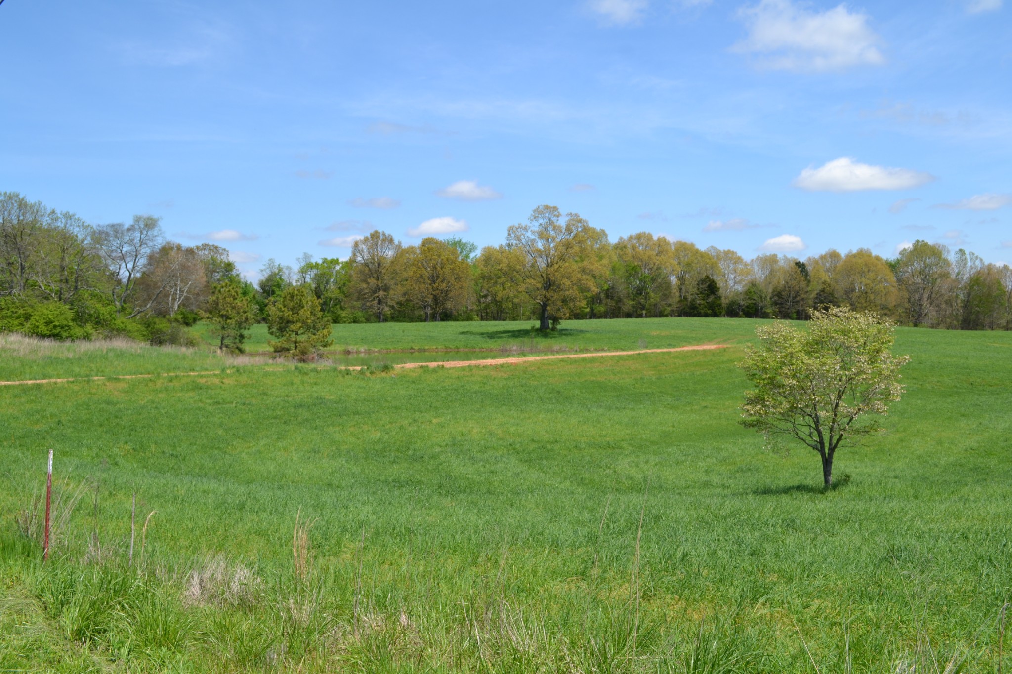 84 Lewis Atkins Road Woodlawn, TN 37191 - Photo 11 of 31 Gallery Image 11