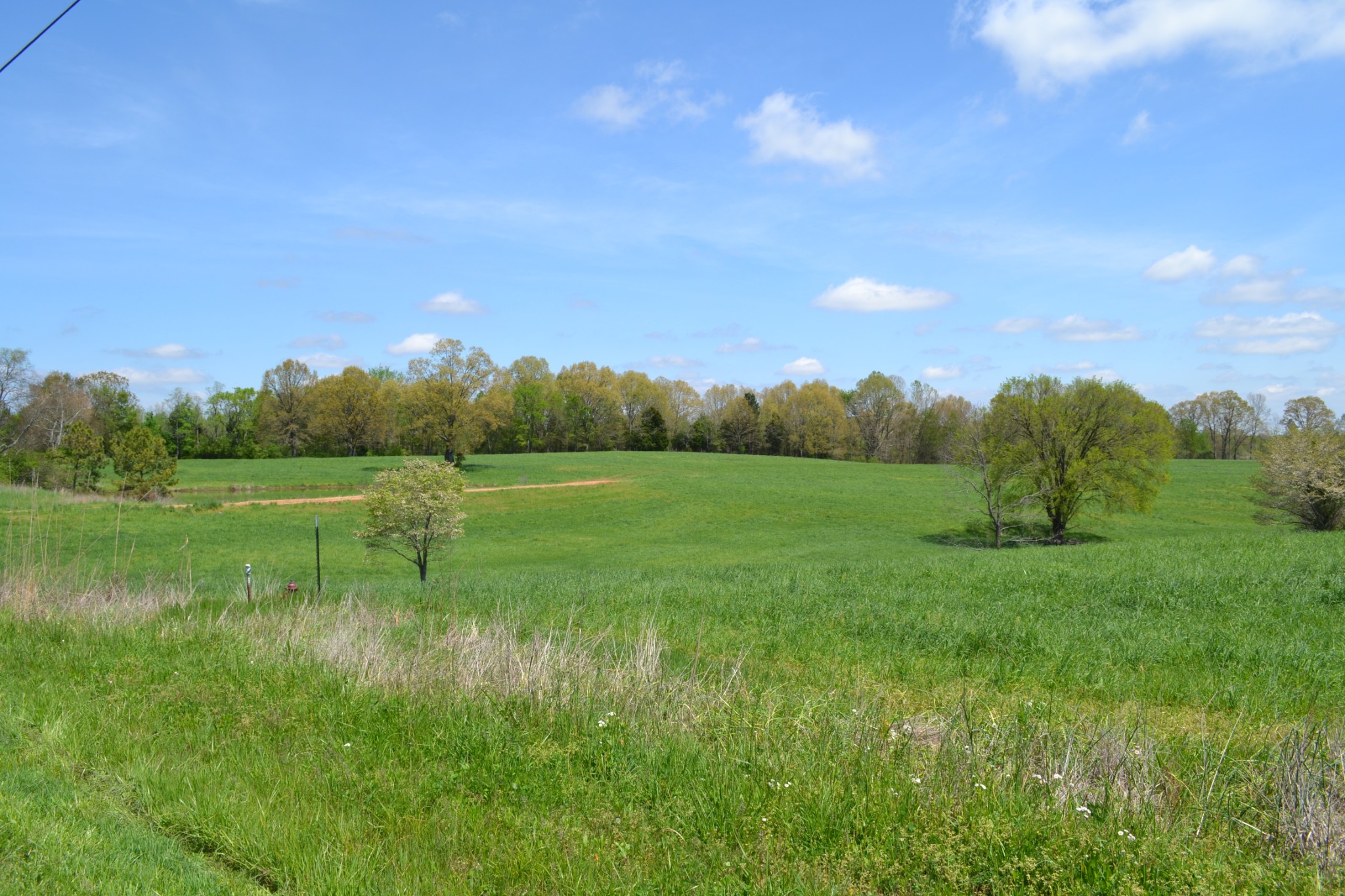 84 Lewis Atkins Road Woodlawn, TN 37191 - Photo 12 of 31 Gallery Image 12