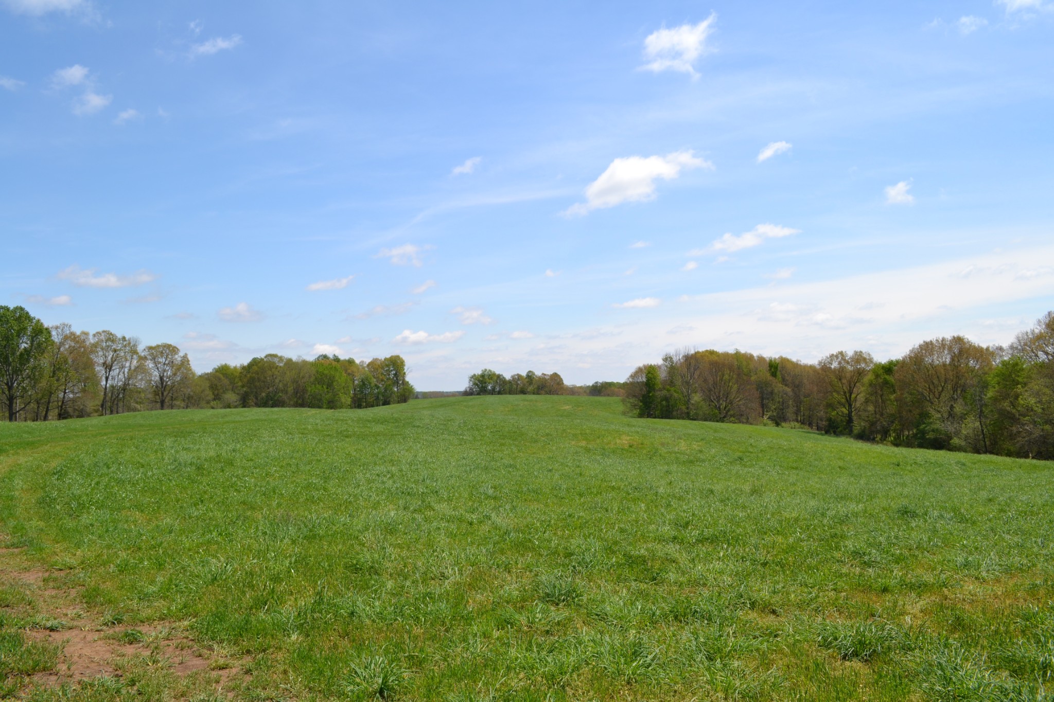 84 Lewis Atkins Road Woodlawn, TN 37191 - Photo 13 of 31 Gallery Image 13