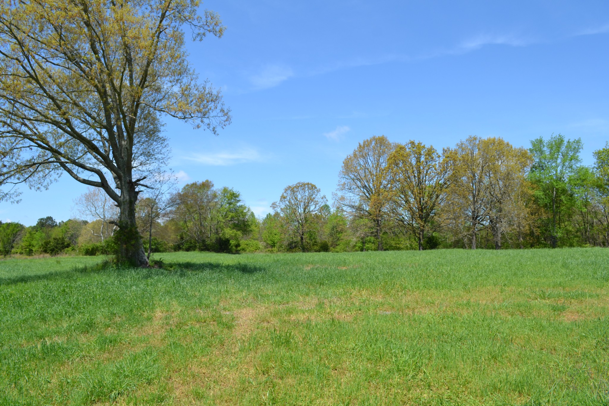 84 Lewis Atkins Road Woodlawn, TN 37191 - Photo 14 of 31 Gallery Image 14