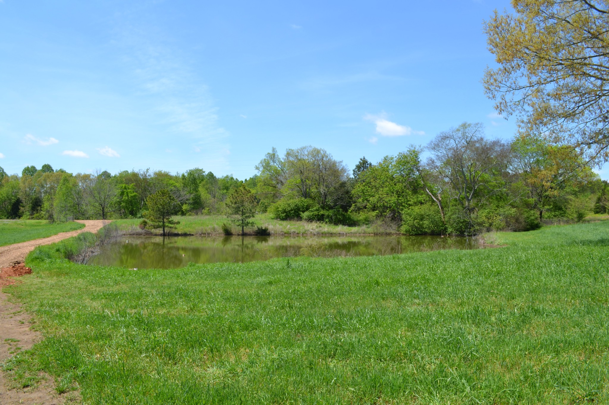 84 Lewis Atkins Road Woodlawn, TN 37191 - Photo 15 of 31 Gallery Image 15