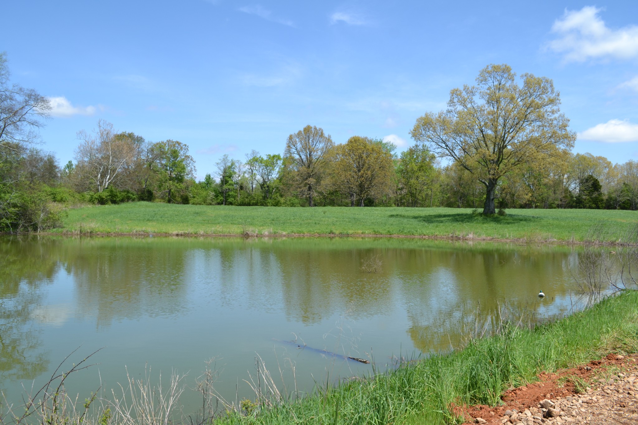 84 Lewis Atkins Road Woodlawn, TN 37191 - Photo 16 of 31 Gallery Image 16