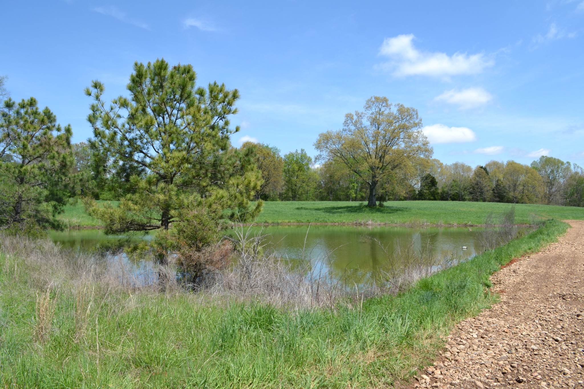 84 Lewis Atkins Road Woodlawn, TN 37191 - Photo 17 of 31 Gallery Image 17