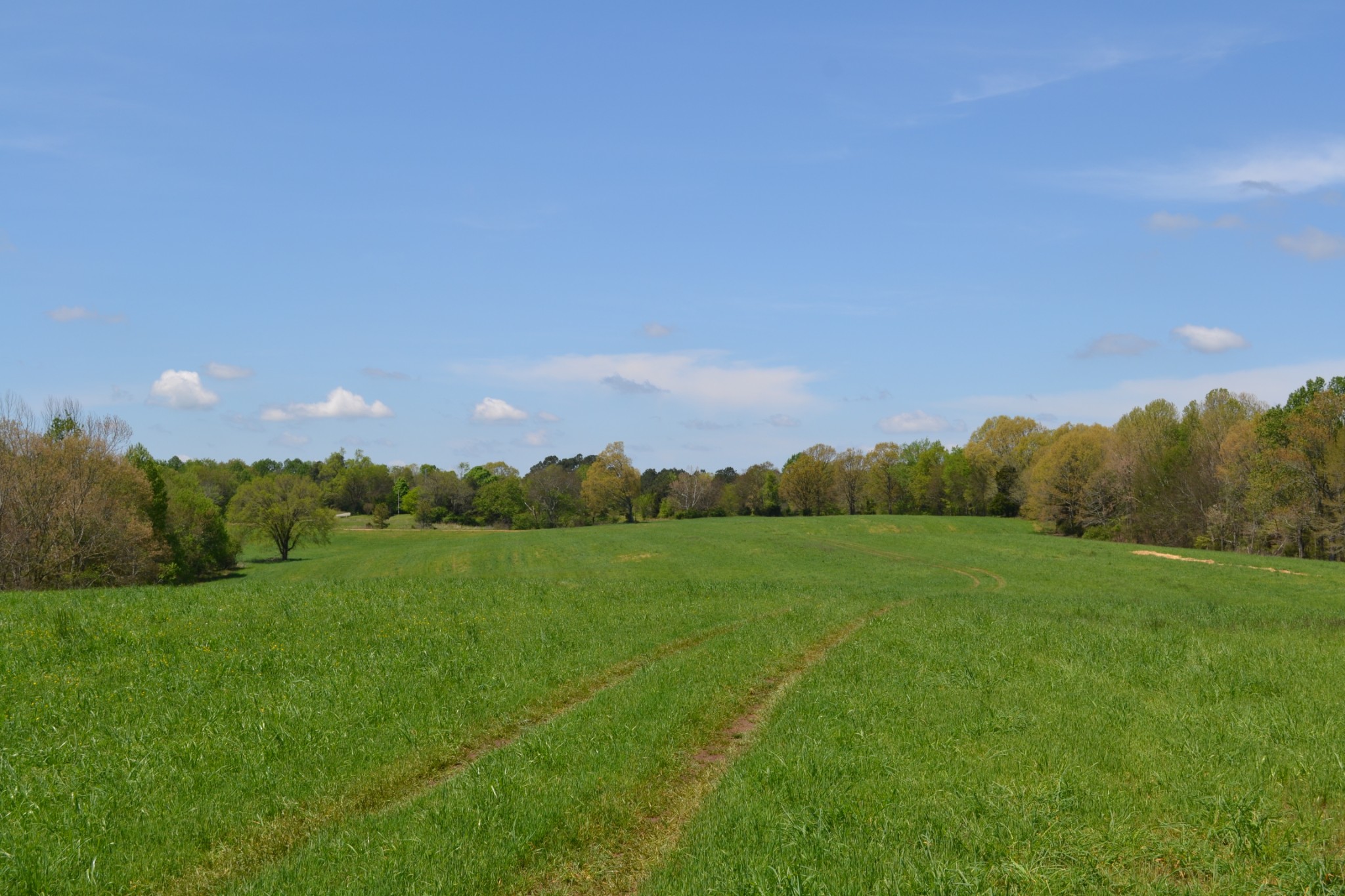 84 Lewis Atkins Road Woodlawn, TN 37191 - Photo 18 of 31 Gallery Image 18