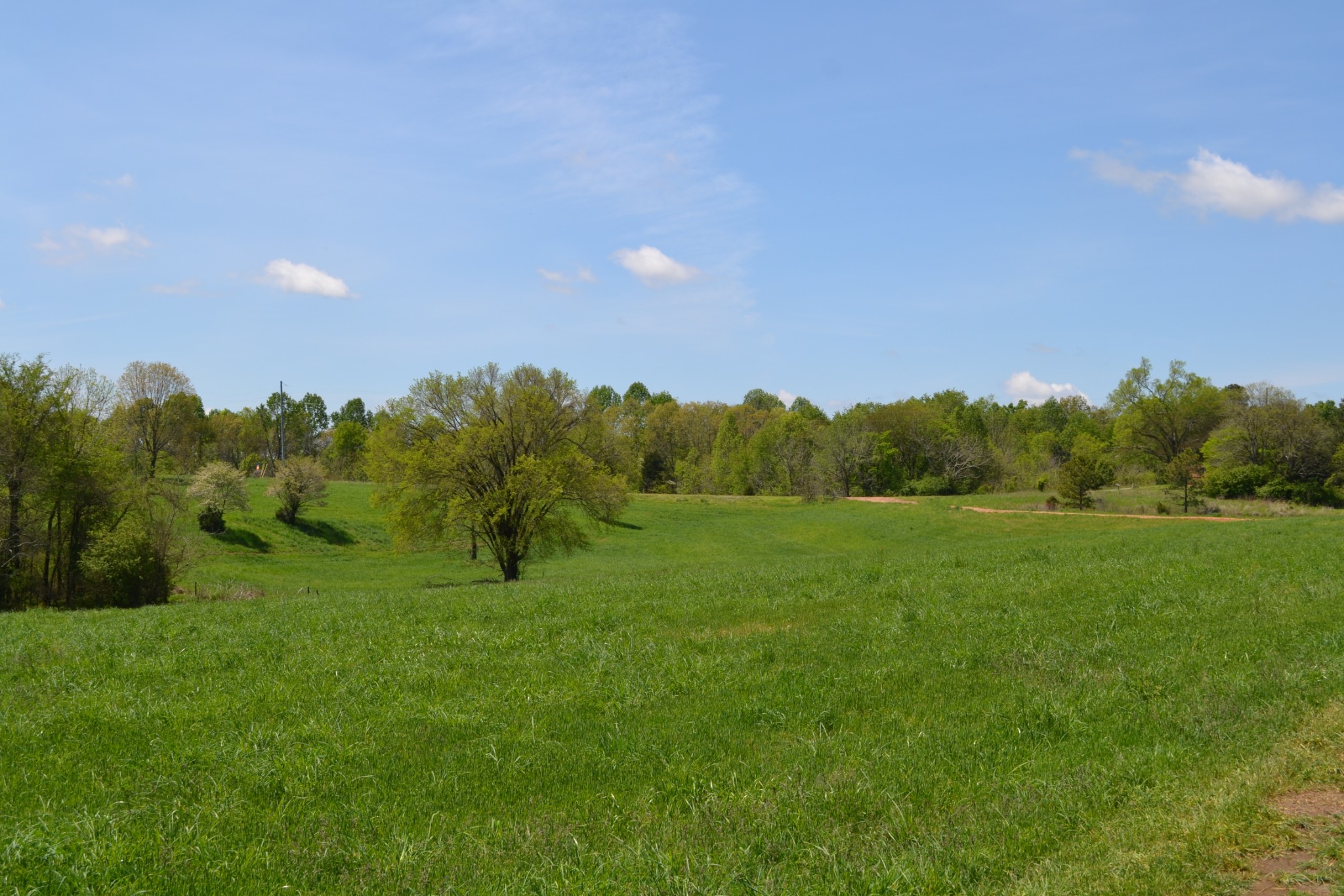84 Lewis Atkins Road Woodlawn, TN 37191 - Photo 19 of 31 Gallery Image 19
