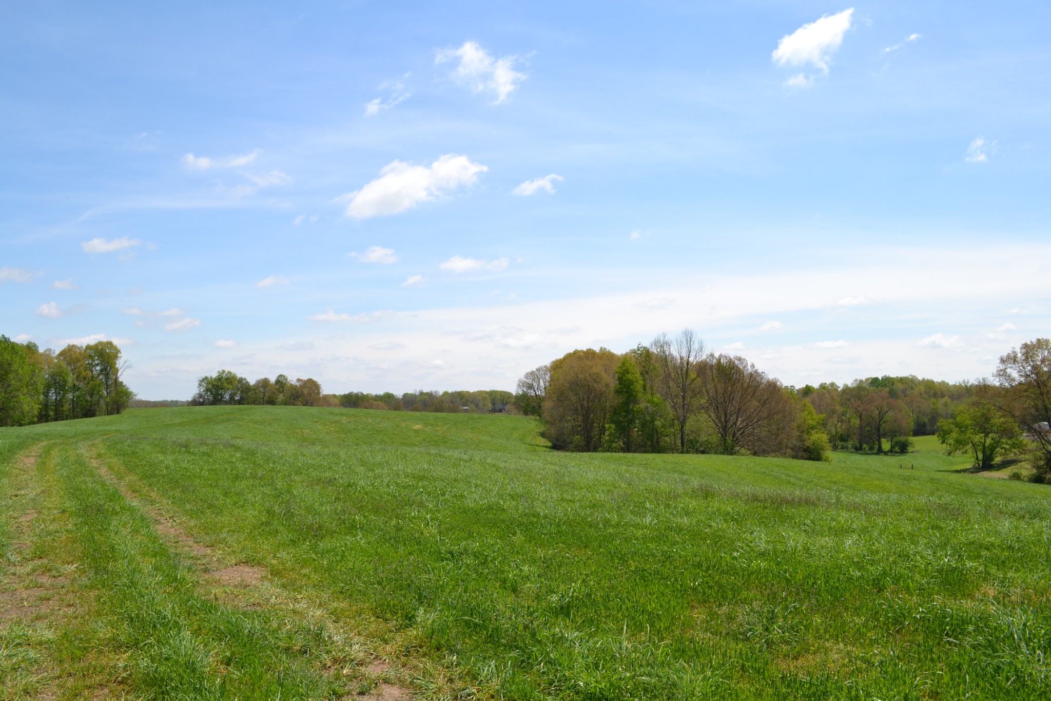 84 Lewis Atkins Road Woodlawn, TN 37191 - Photo 20 of 31 Gallery Image 20