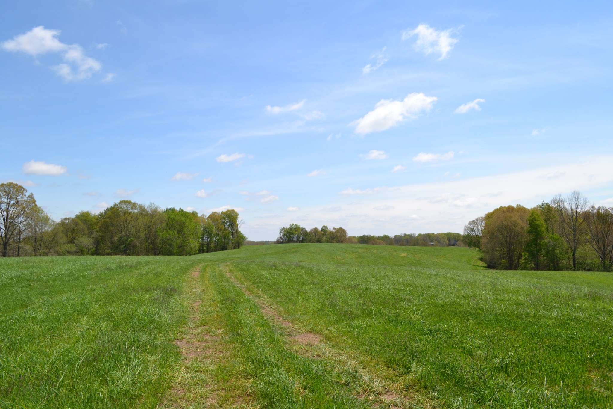 84 Lewis Atkins Road Woodlawn, TN 37191 - Photo 21 of 31 Gallery Image 21