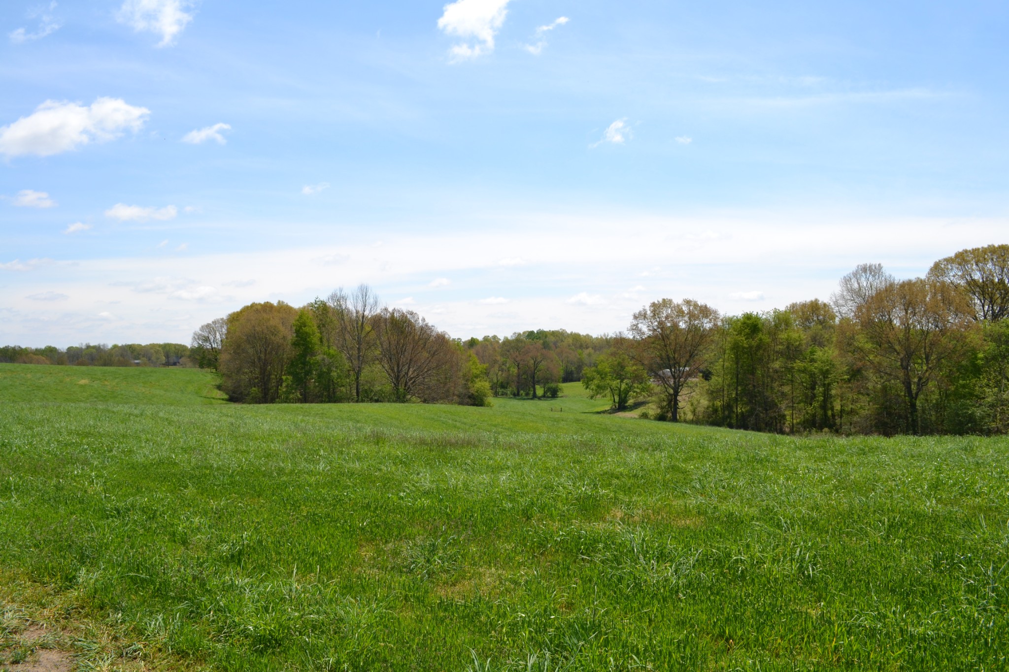 84 Lewis Atkins Road Woodlawn, TN 37191 - Photo 22 of 31 Gallery Image 22