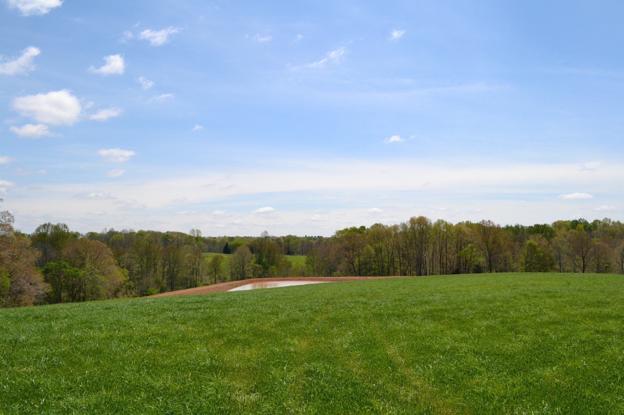 84 Lewis Atkins Road Woodlawn, TN 37191 - Photo 23 of 31 Gallery Image 23