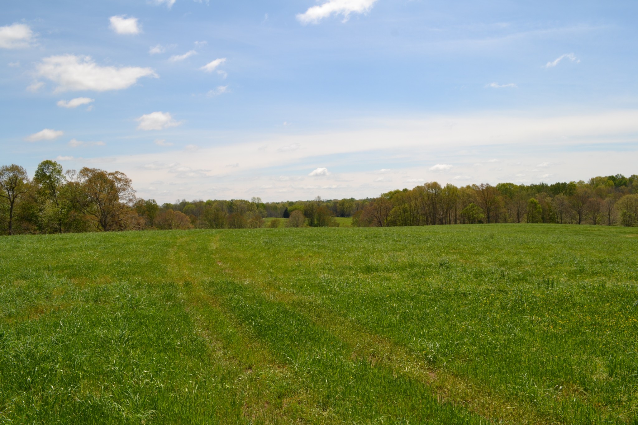 84 Lewis Atkins Road Woodlawn, TN 37191 - Photo 24 of 31 Gallery Image 24
