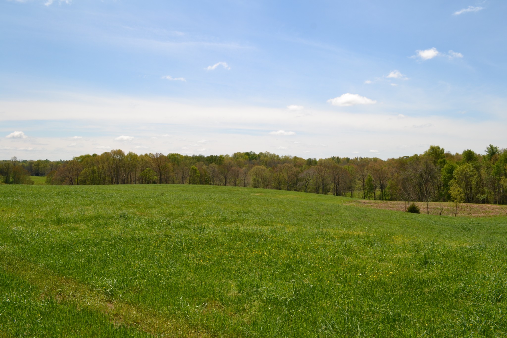 84 Lewis Atkins Road Woodlawn, TN 37191 - Photo 25 of 31 Gallery Image 25