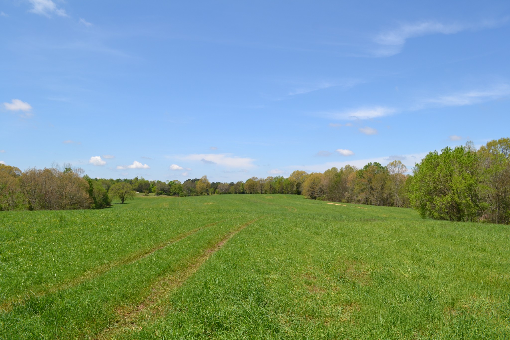 84 Lewis Atkins Road Woodlawn, TN 37191 - Photo 26 of 31 Gallery Image 26