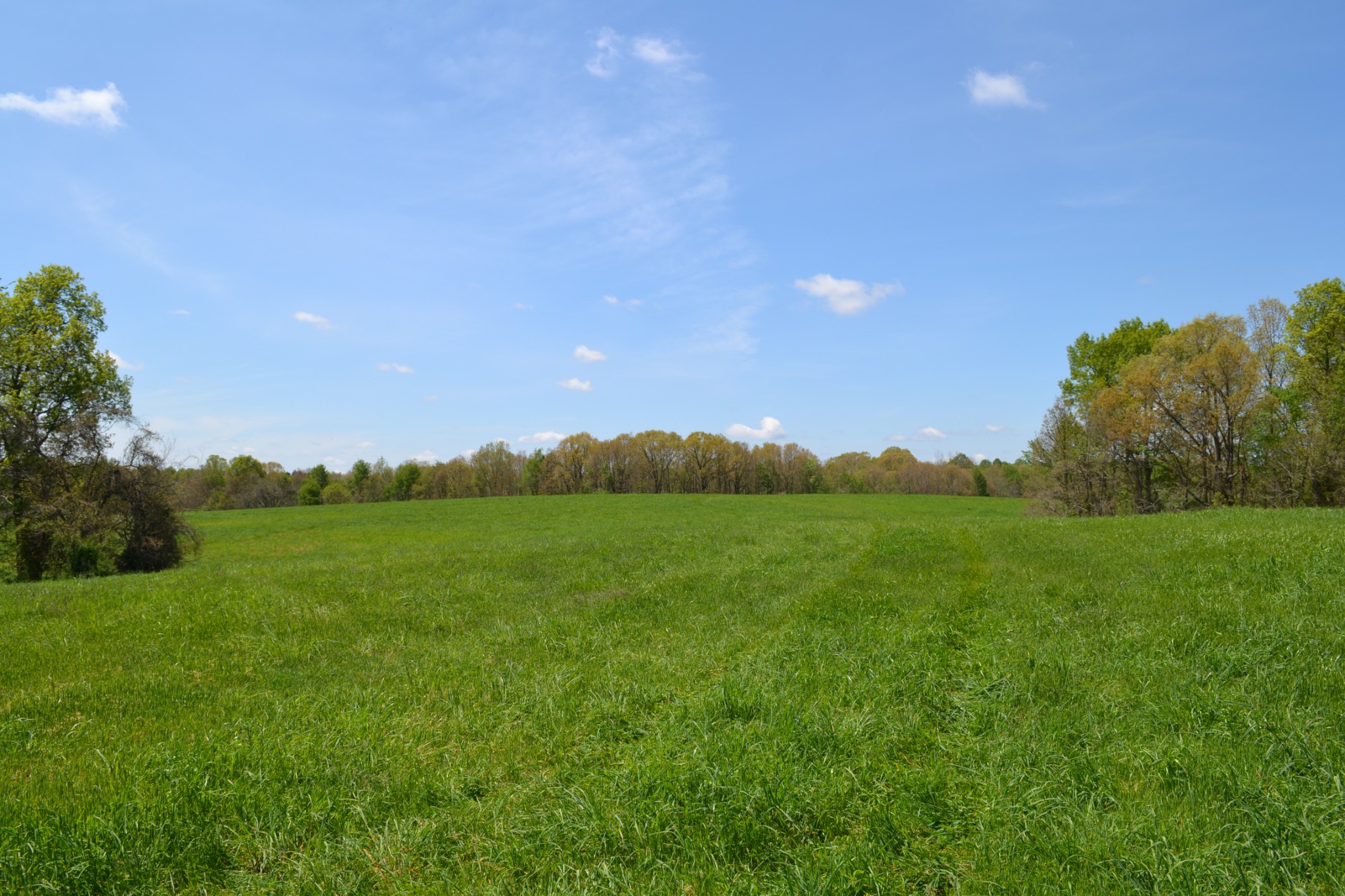 84 Lewis Atkins Road Woodlawn, TN 37191 - Photo 28 of 31 Gallery Image 28
