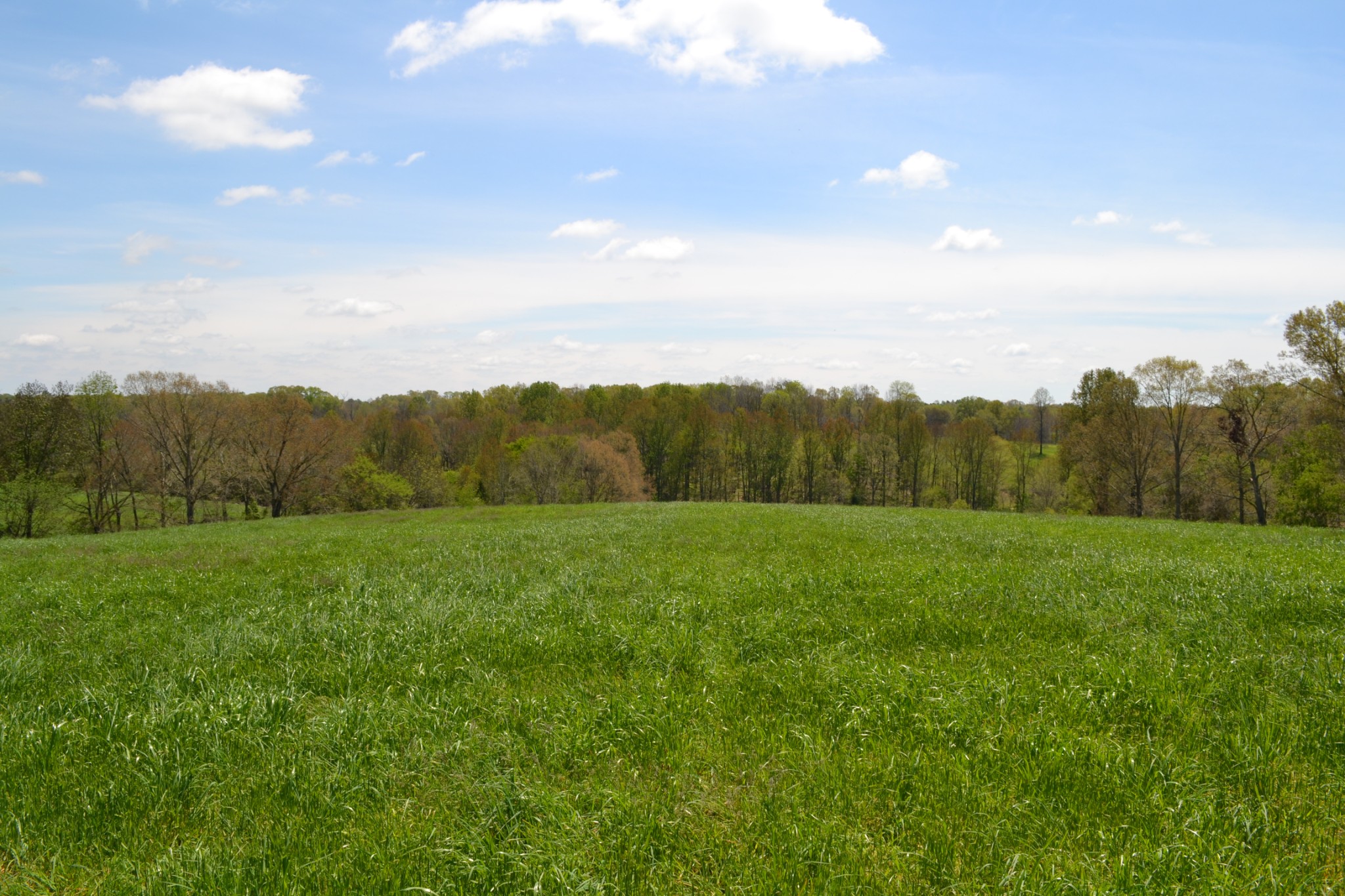 84 Lewis Atkins Road Woodlawn, TN 37191 - Photo 29 of 31 Gallery Image 29