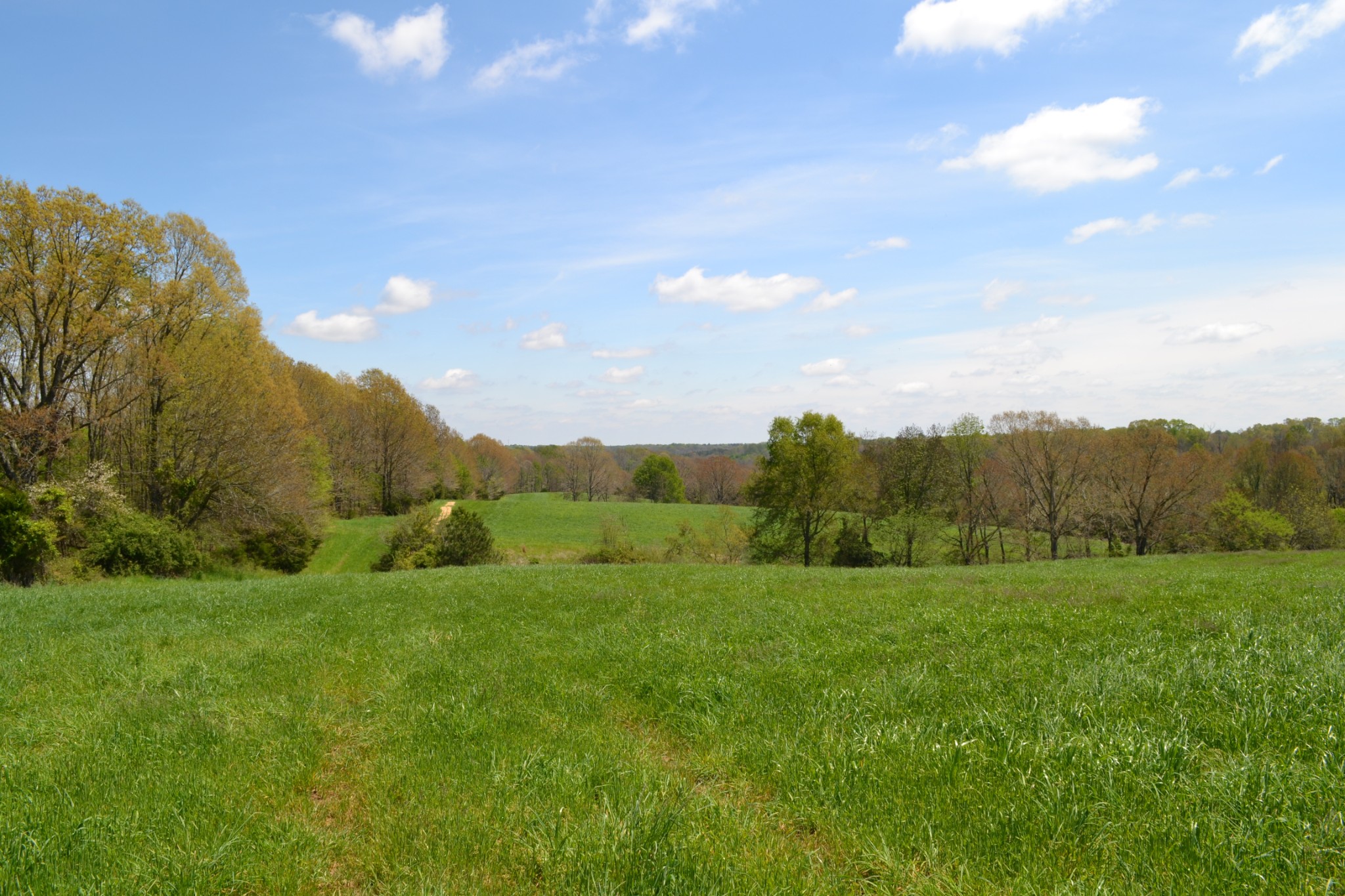 84 Lewis Atkins Road Woodlawn, TN 37191 - Photo 30 of 31 Gallery Image 30