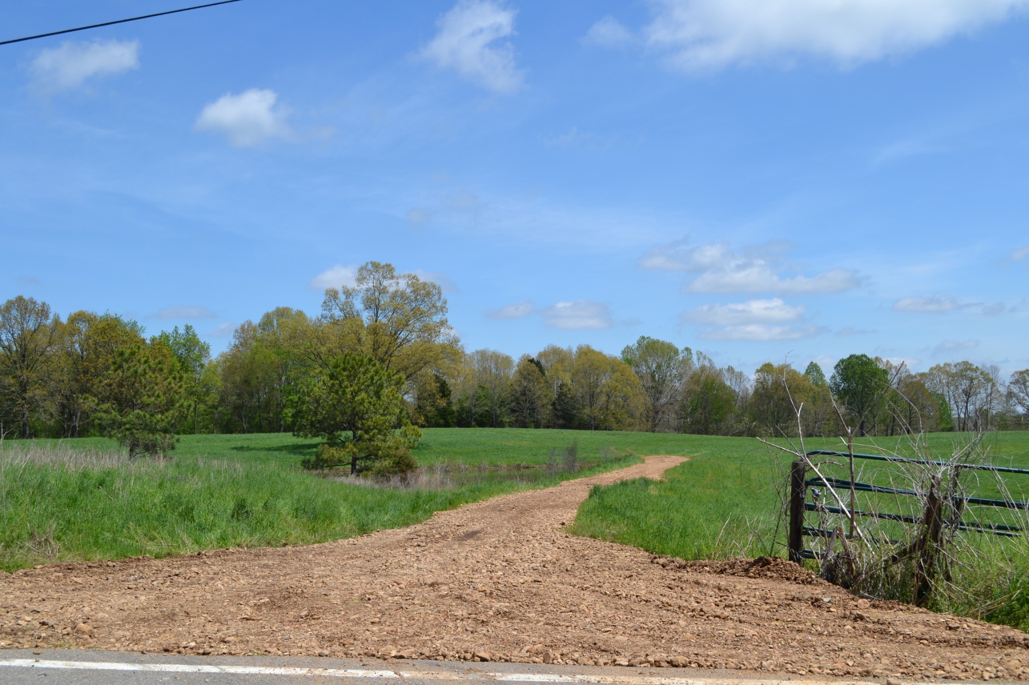 84 Lewis Atkins Road Woodlawn, TN 37191 - Photo 4 of 31 Gallery Image 4