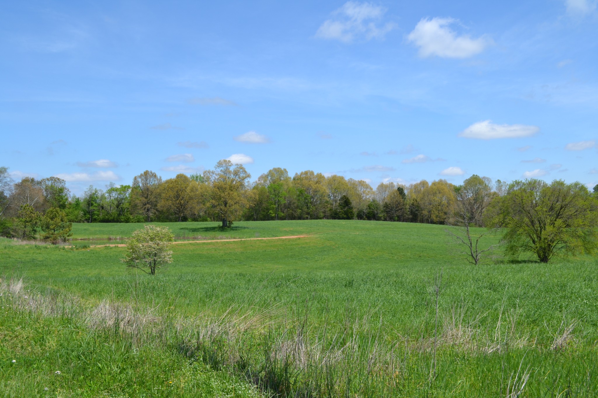 84 Lewis Atkins Road Woodlawn, TN 37191 - Photo 5 of 31 Gallery Image 5